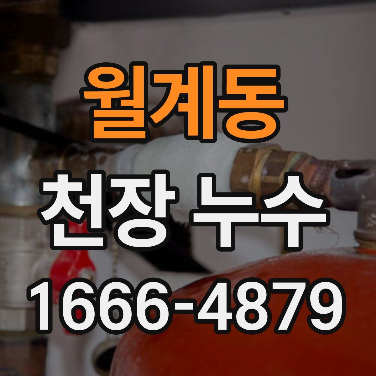 월계동 천장 누수