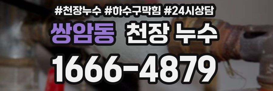 쌍암동 천장 누수