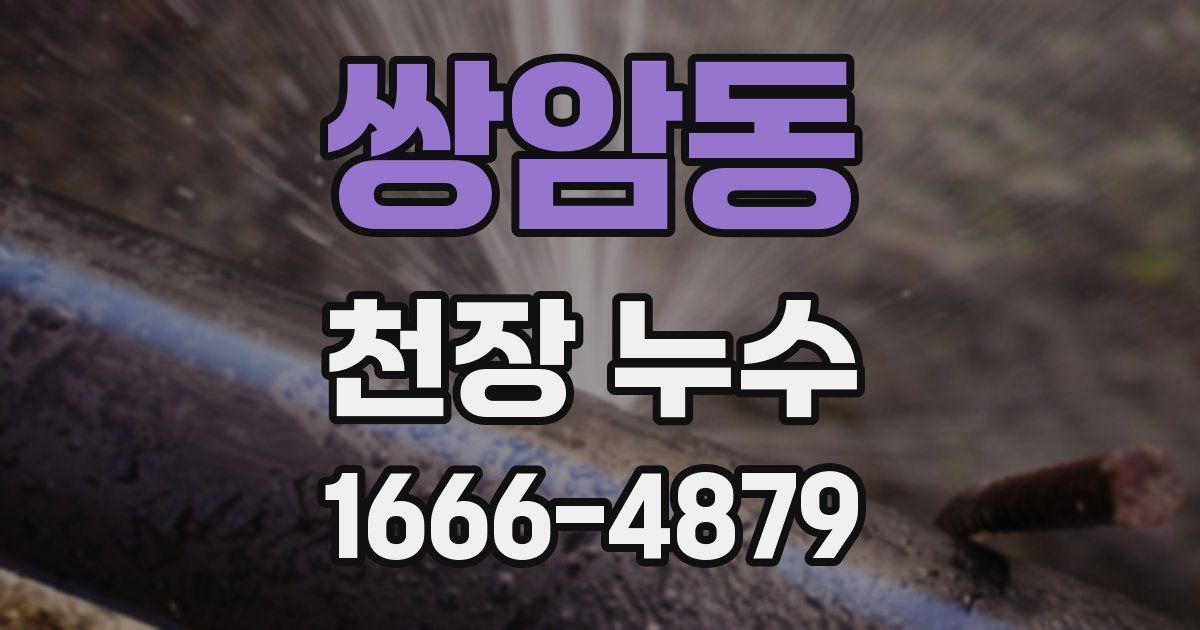 쌍암동 천장 누수