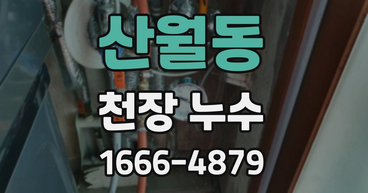 산월동 천장 누수