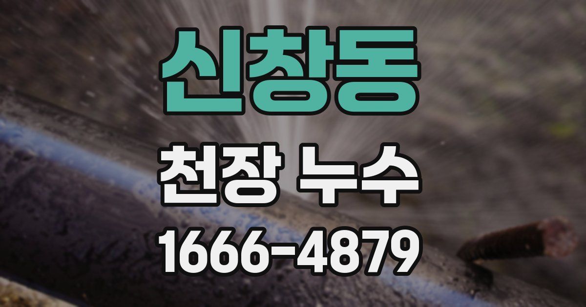 신창동 천장 누수