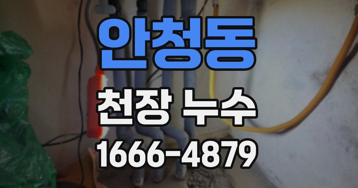 안청동 천장 누수