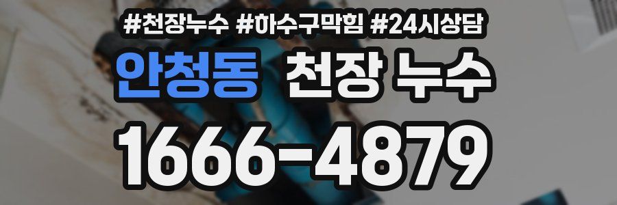 안청동 천장 누수