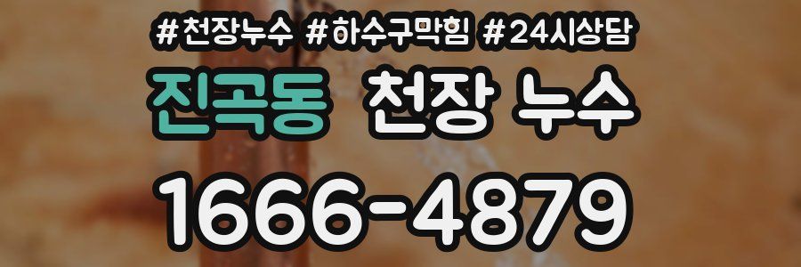 진곡동 천장 누수