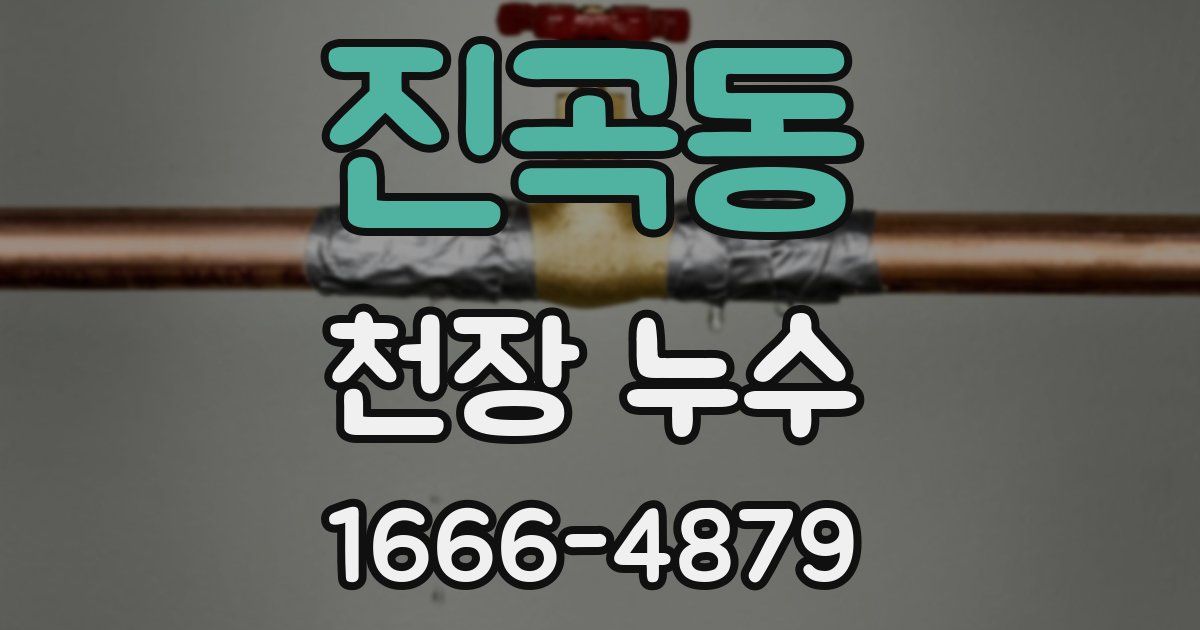 진곡동 천장 누수