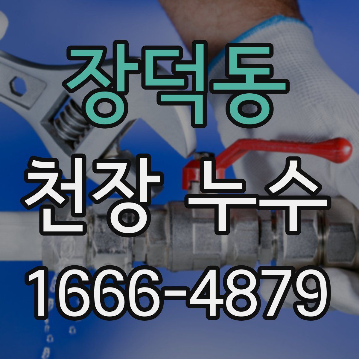 장덕동 천장 누수