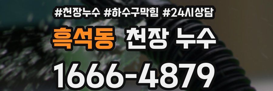 흑석동 천장 누수