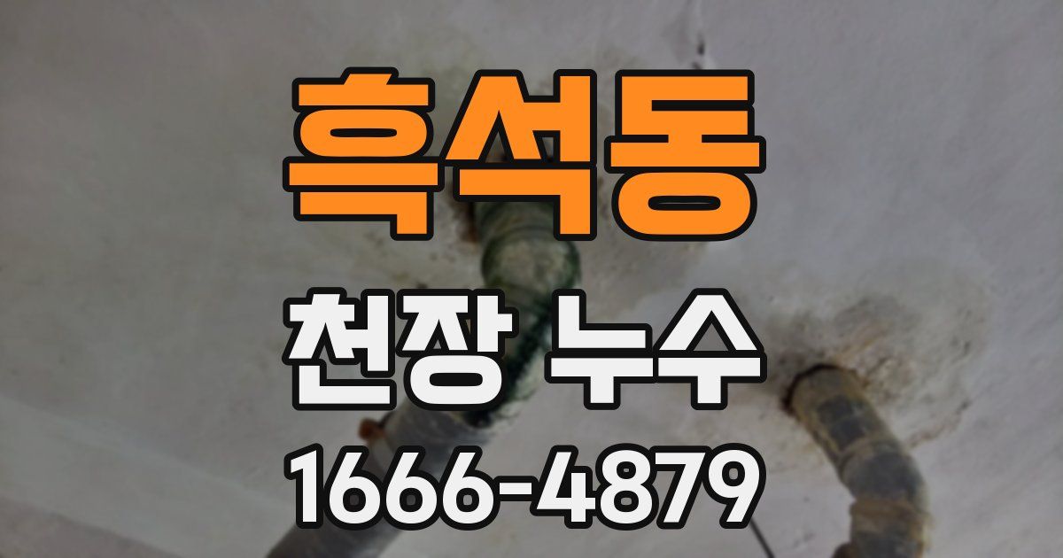 흑석동 천장 누수