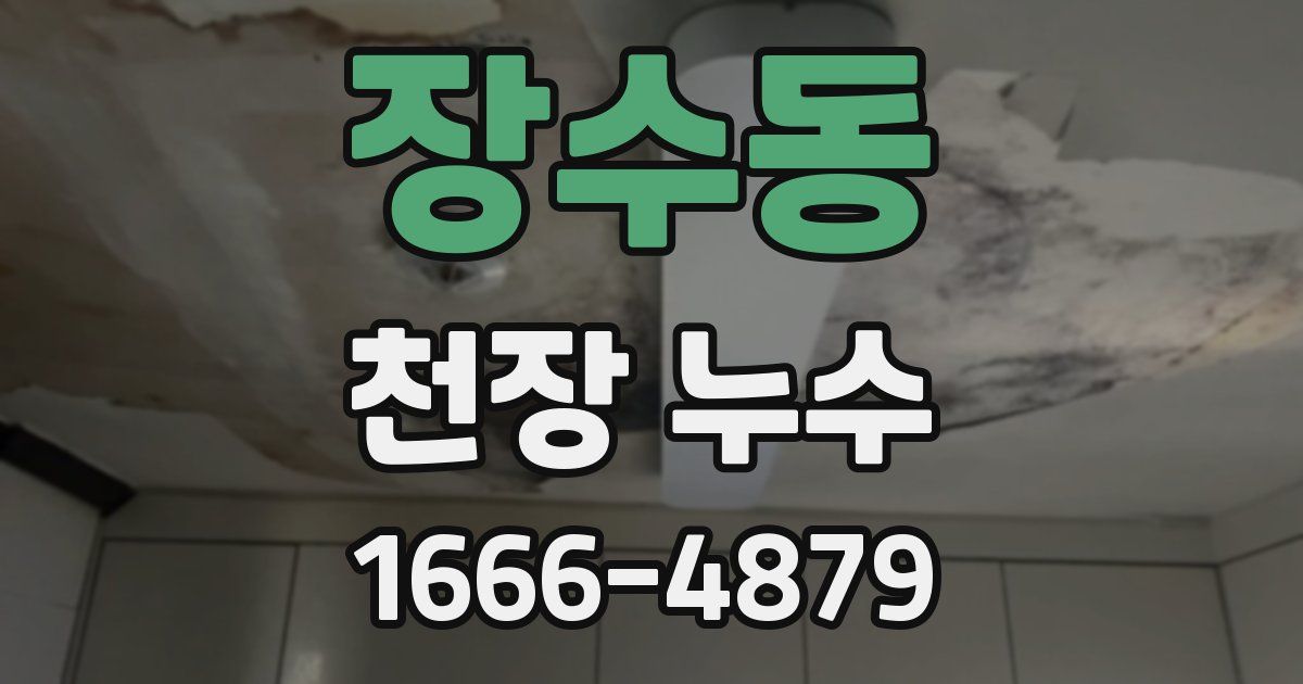 장수동 천장 누수