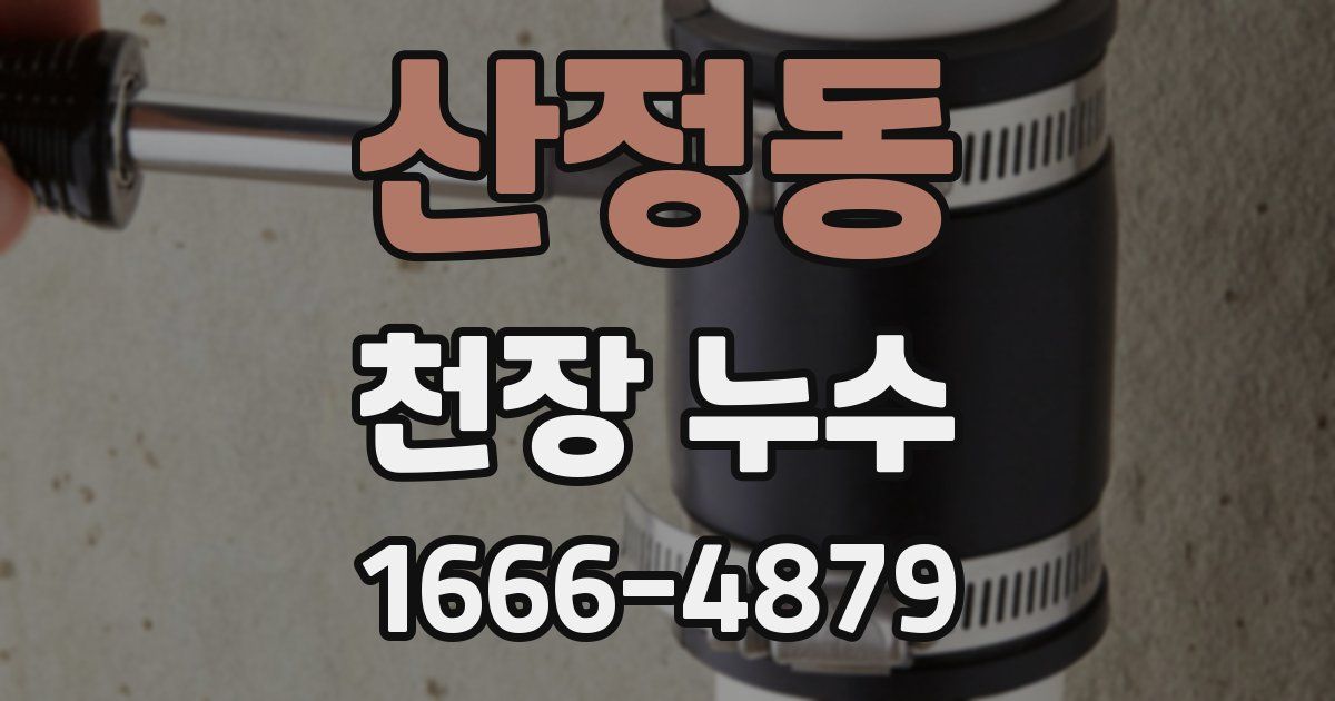 산정동 천장 누수