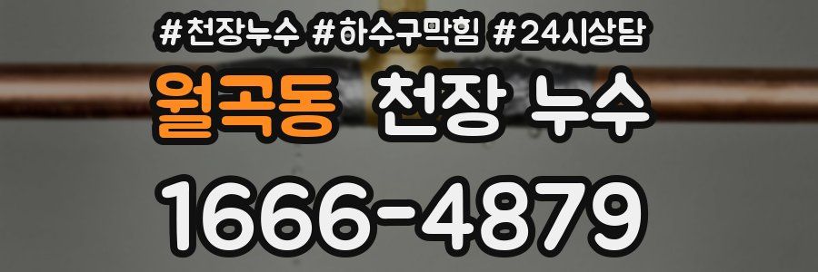 월곡동 천장 누수