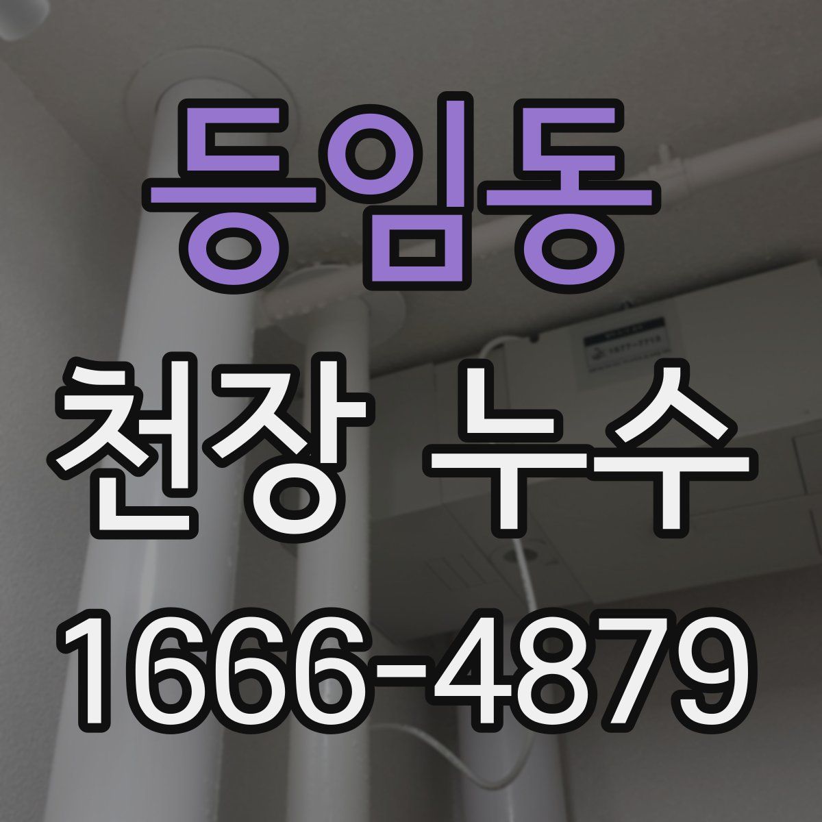 등임동 천장 누수