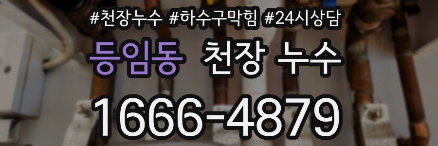 등임동 천장 누수