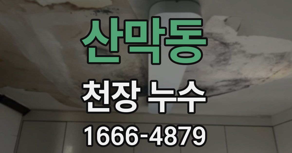 산막동 천장 누수