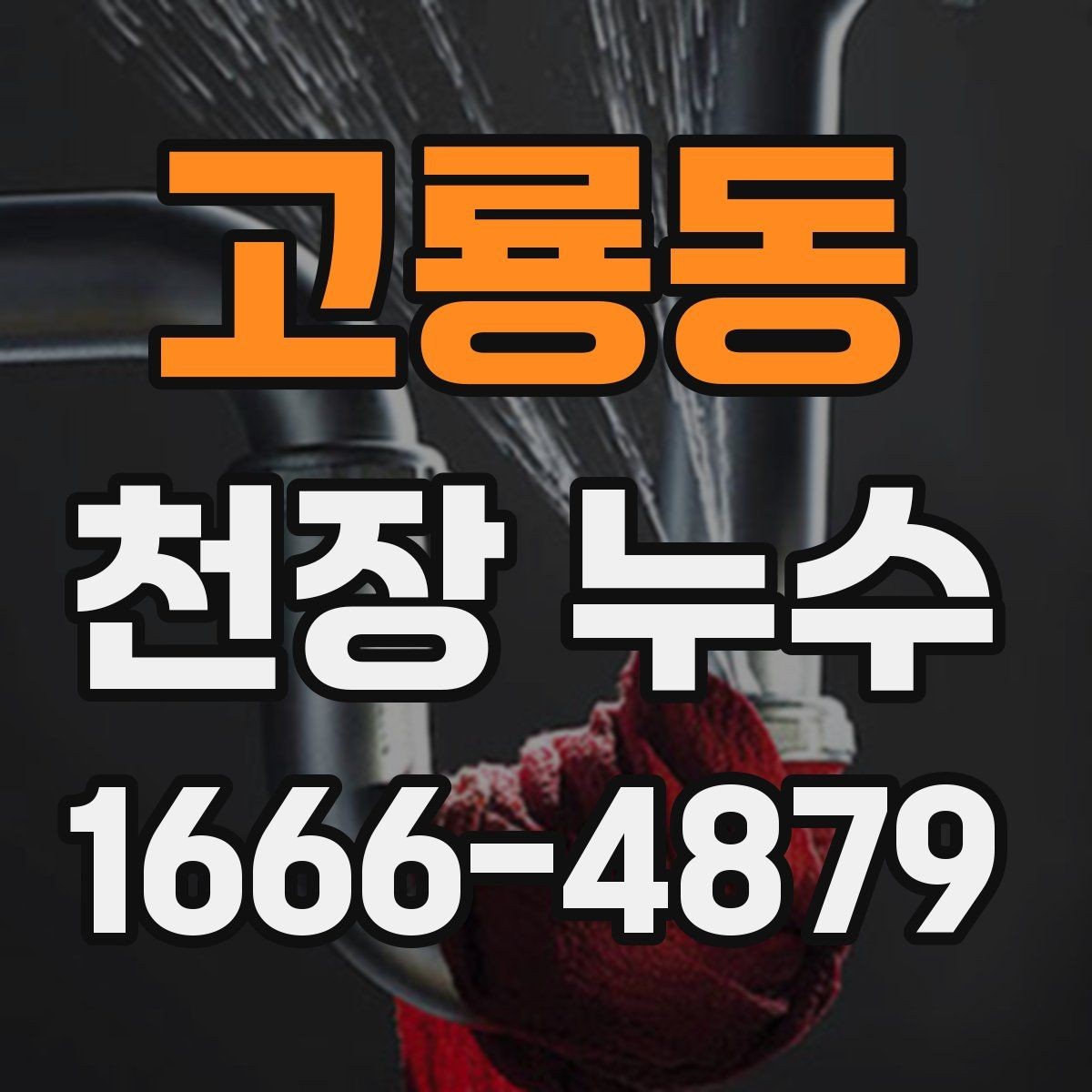 고룡동 천장 누수 벽까지 번지기 전 조치
