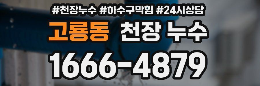 고룡동 천장 누수