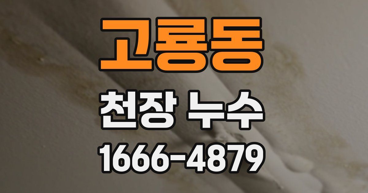 고룡동 천장 누수