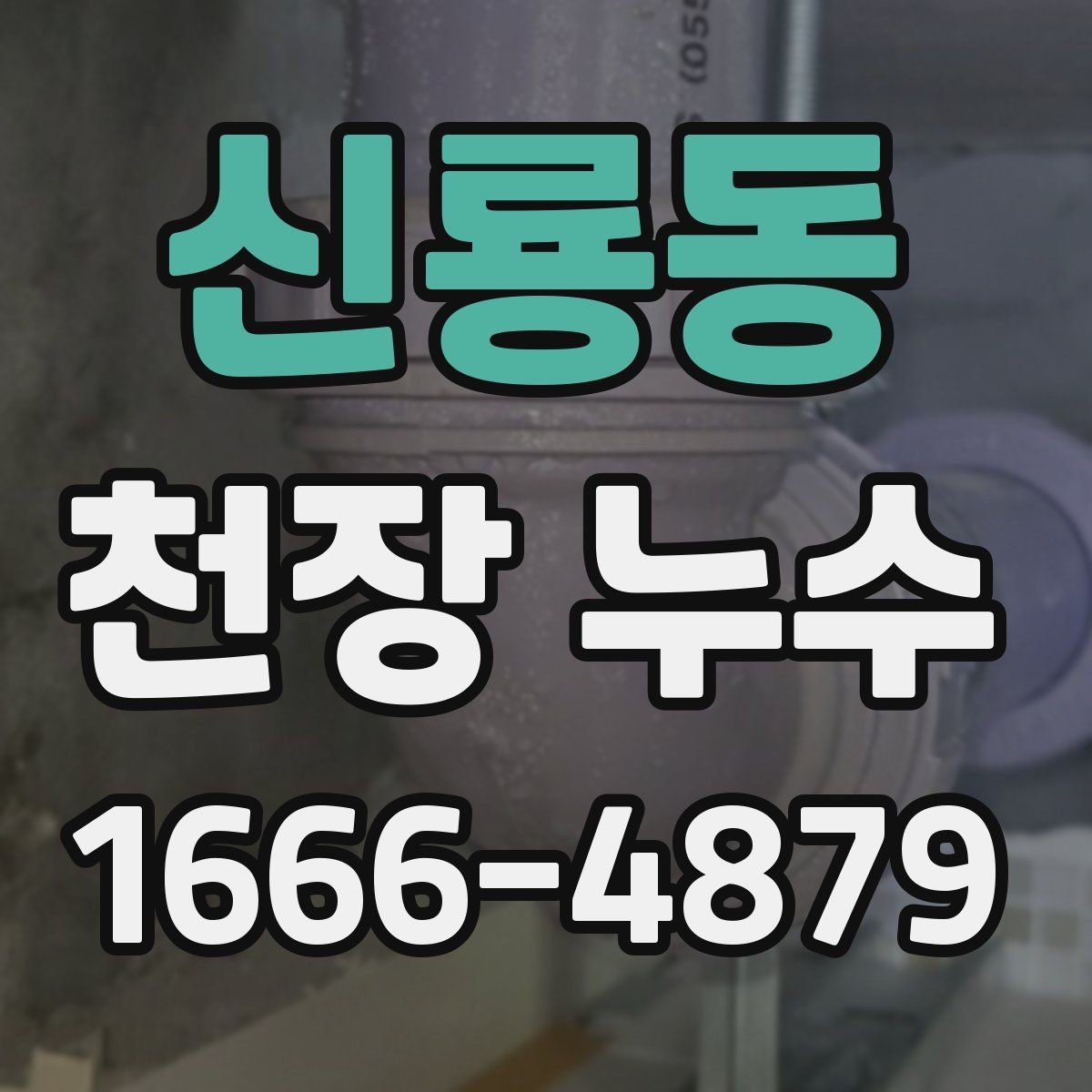 신룡동 천장 누수 욕조·샤워부스 주변 누수가 천장으로 번질 때