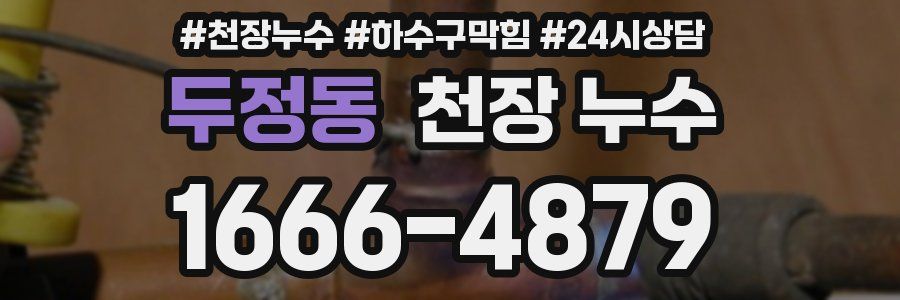 두정동 천장 누수