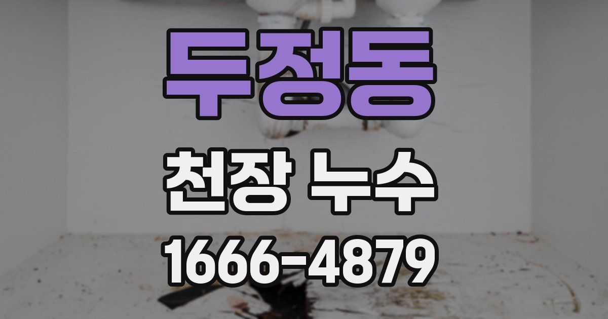 두정동 천장 누수