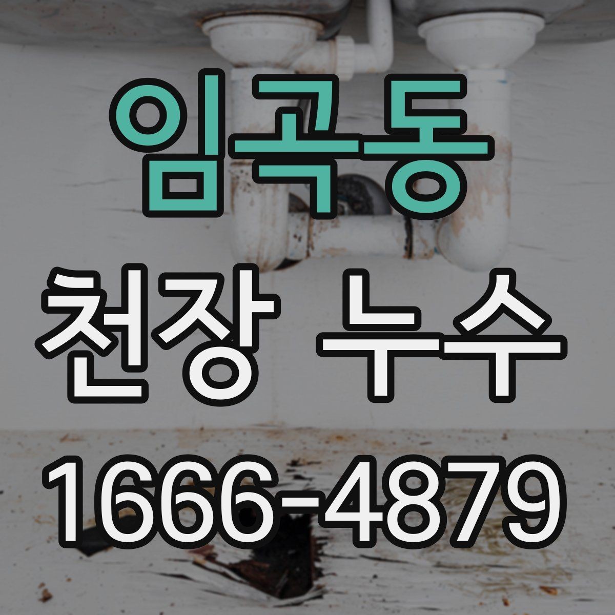 임곡동 천장 누수 천장 누수, 작은 신호부터 놓치지 마세요