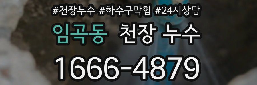 임곡동 천장 누수