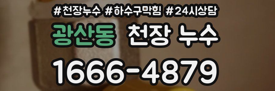 광산동 천장 누수