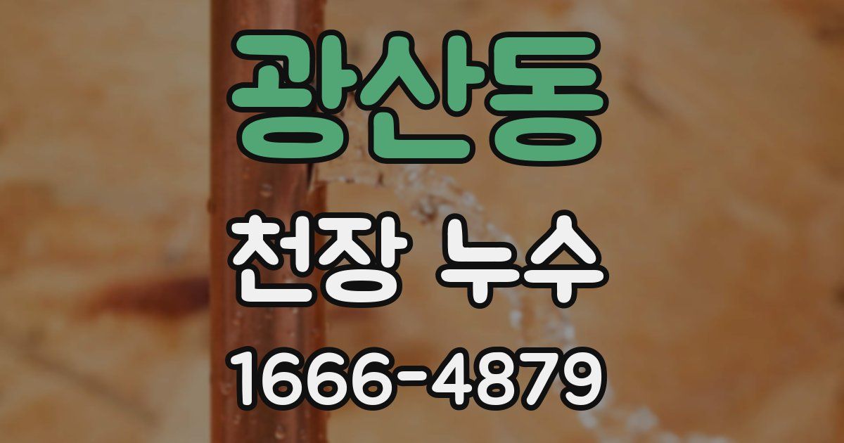 광산동 천장 누수