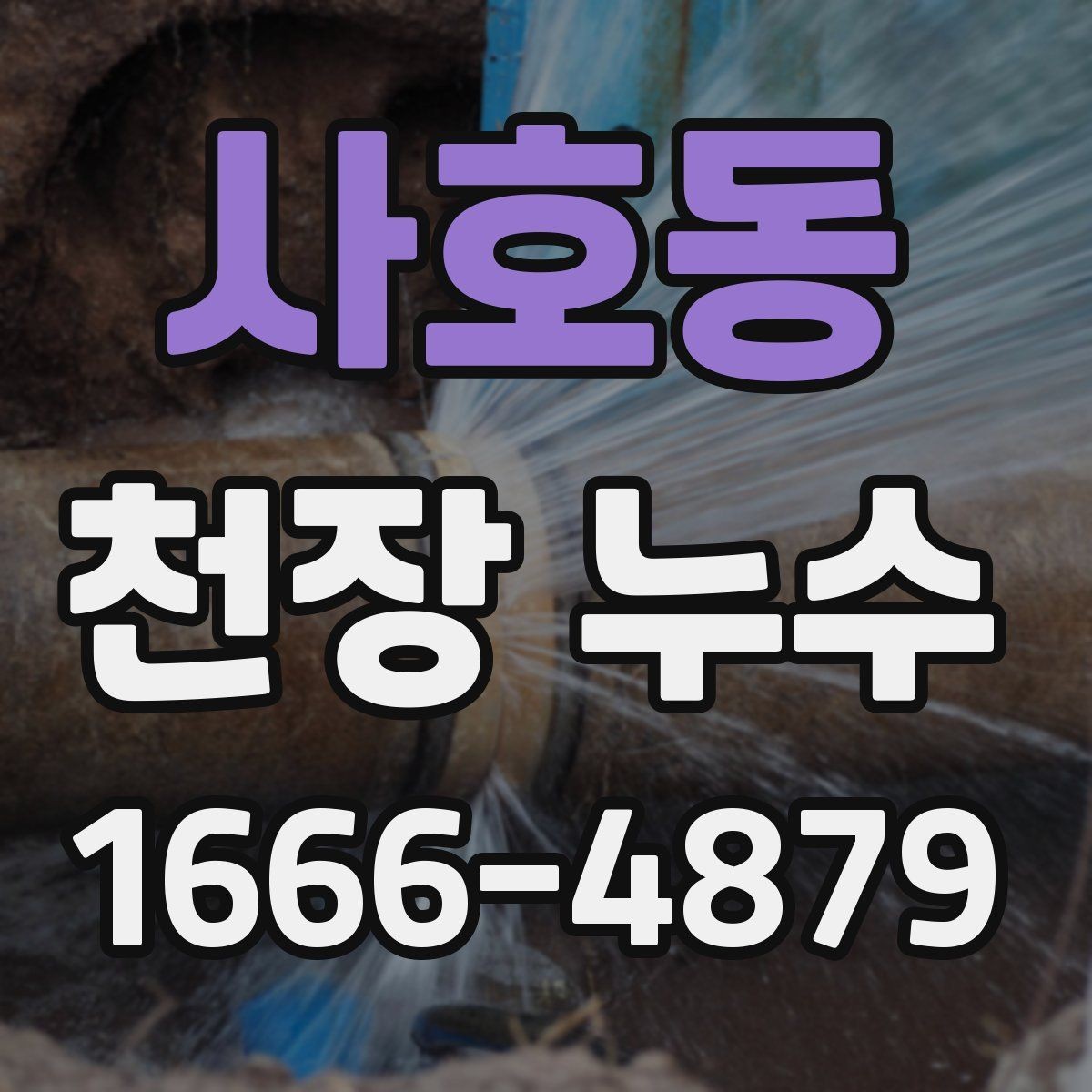 사호동 천장 누수 벽까지 젖는 상황을 막기