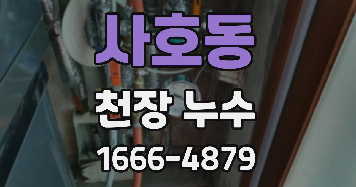 사호동 천장 누수