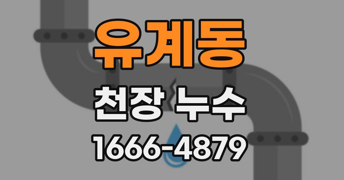 유계동 천장 누수