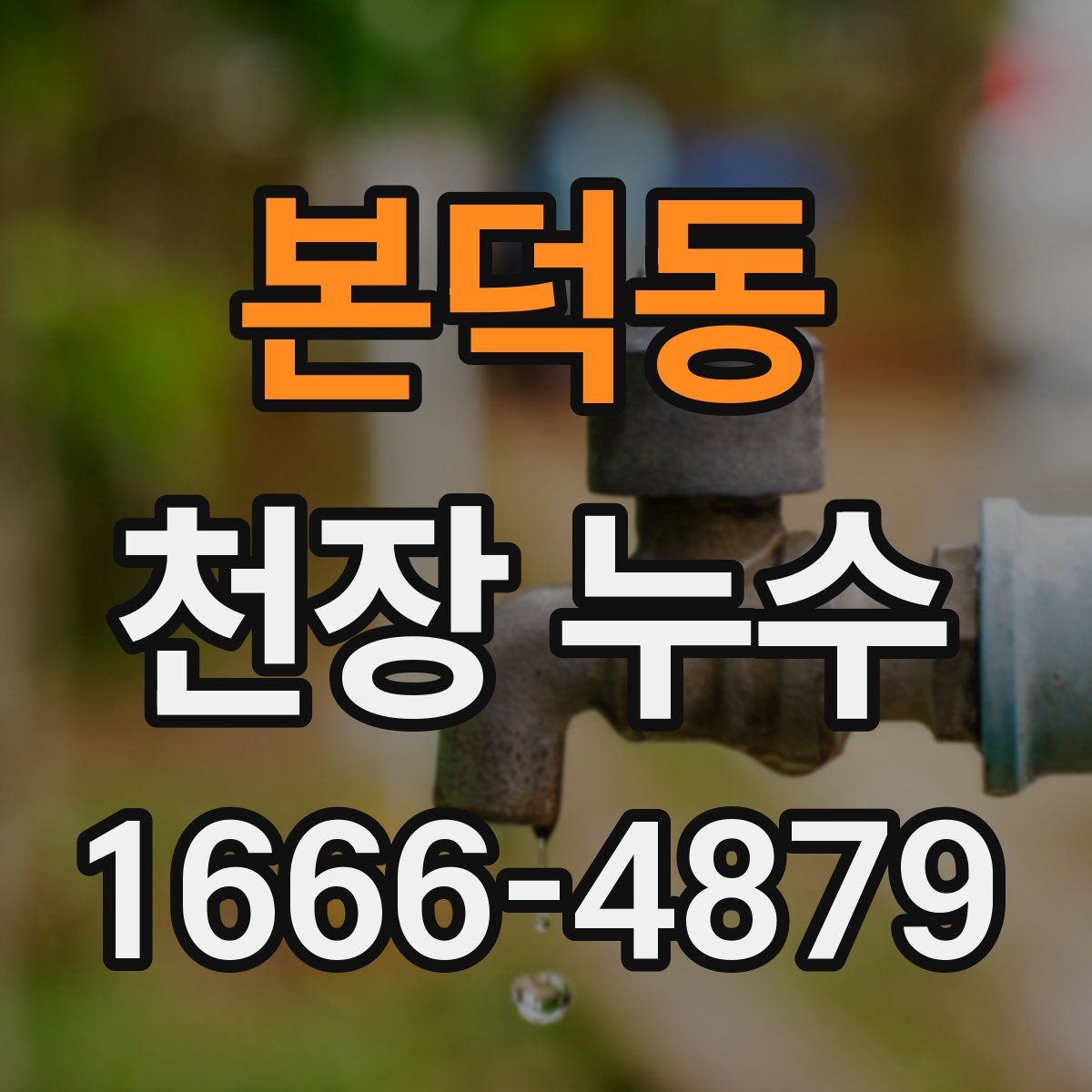 본덕동 천장 누수