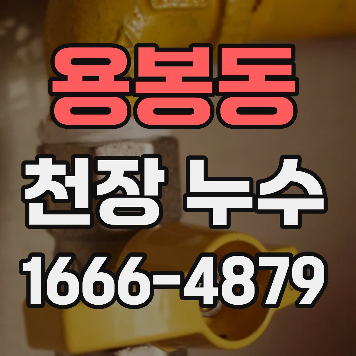 용봉동 천장 누수