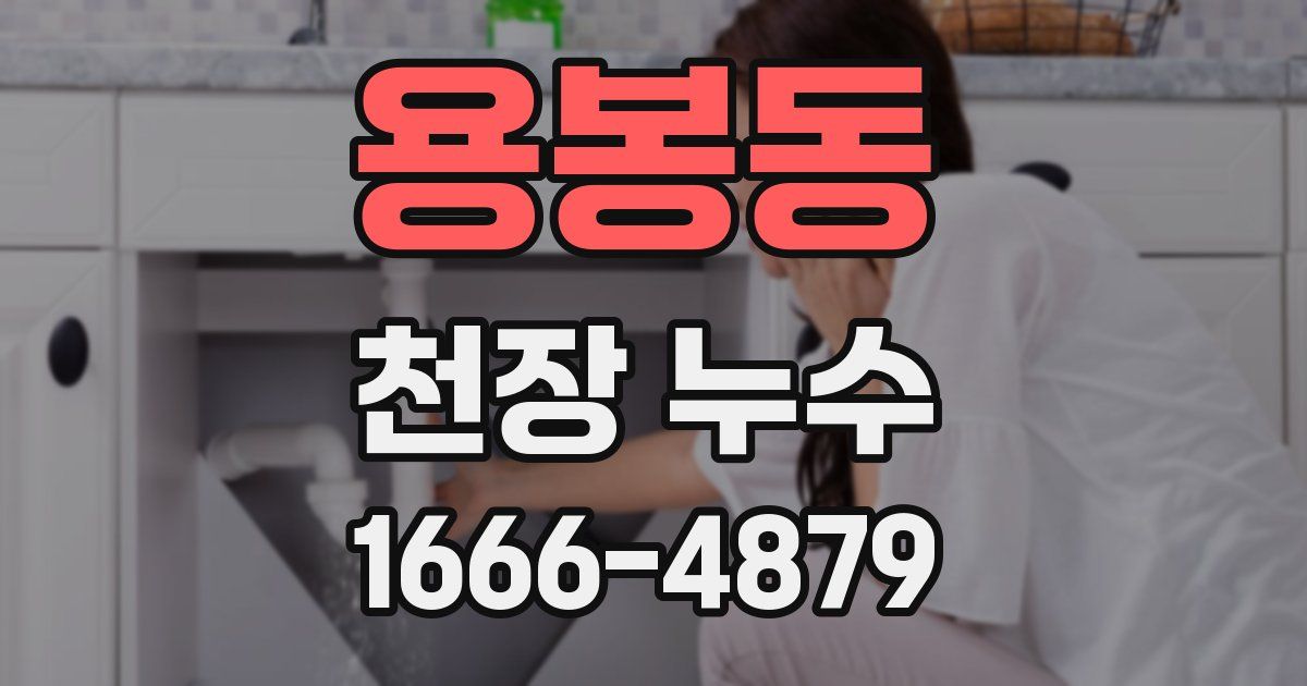 용봉동 천장 누수