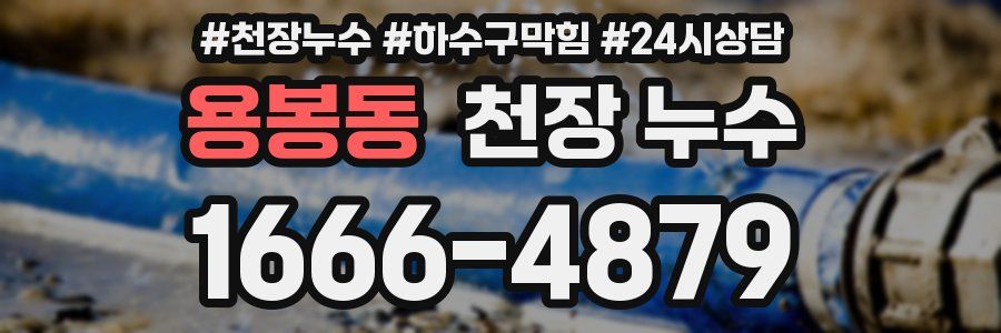 용봉동 천장 누수