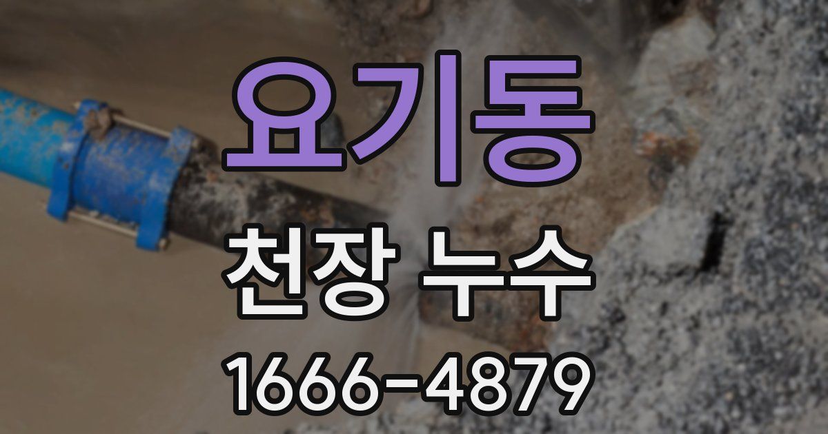 요기동 천장 누수