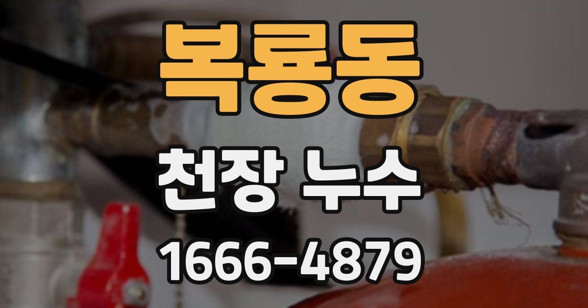 복룡동 천장 누수