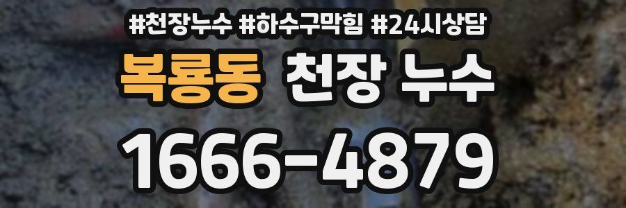 복룡동 천장 누수