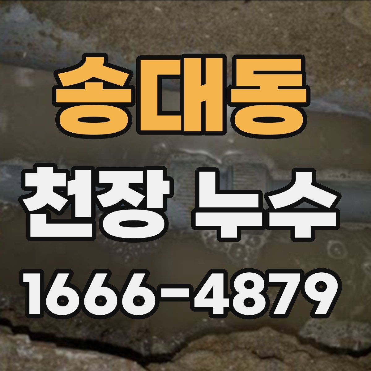 송대동 천장 누수 누수 원인 찾기 전에 하면 안 되는 행동