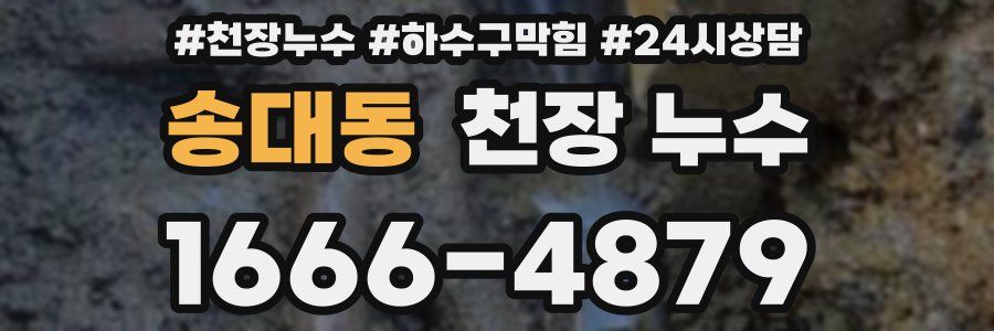 송대동 천장 누수