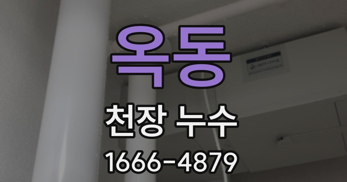 옥동 천장 누수