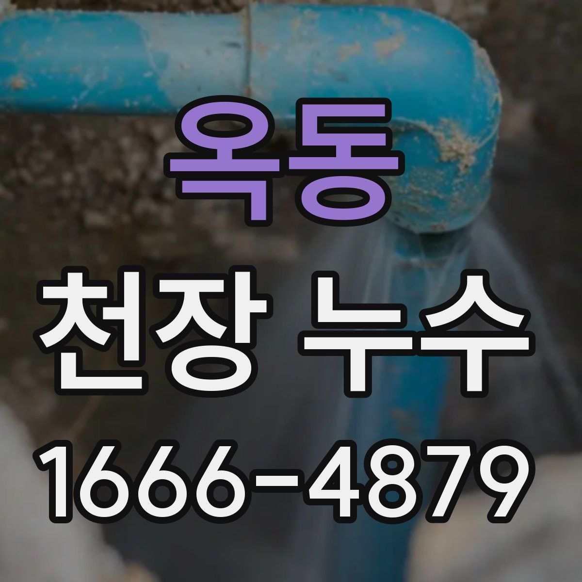 옥동 천장 누수