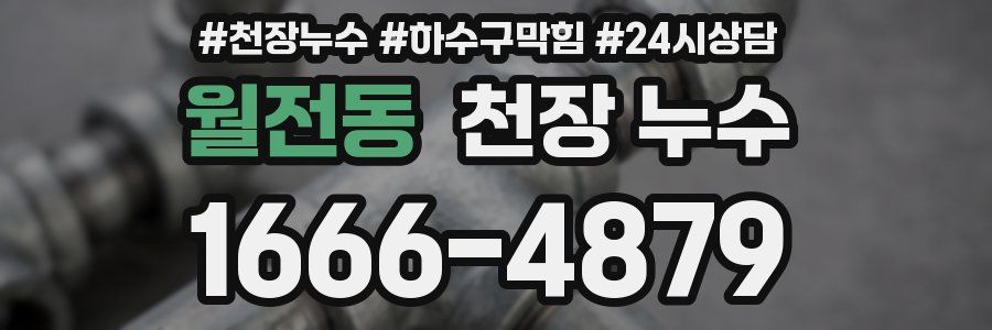 월전동 천장 누수