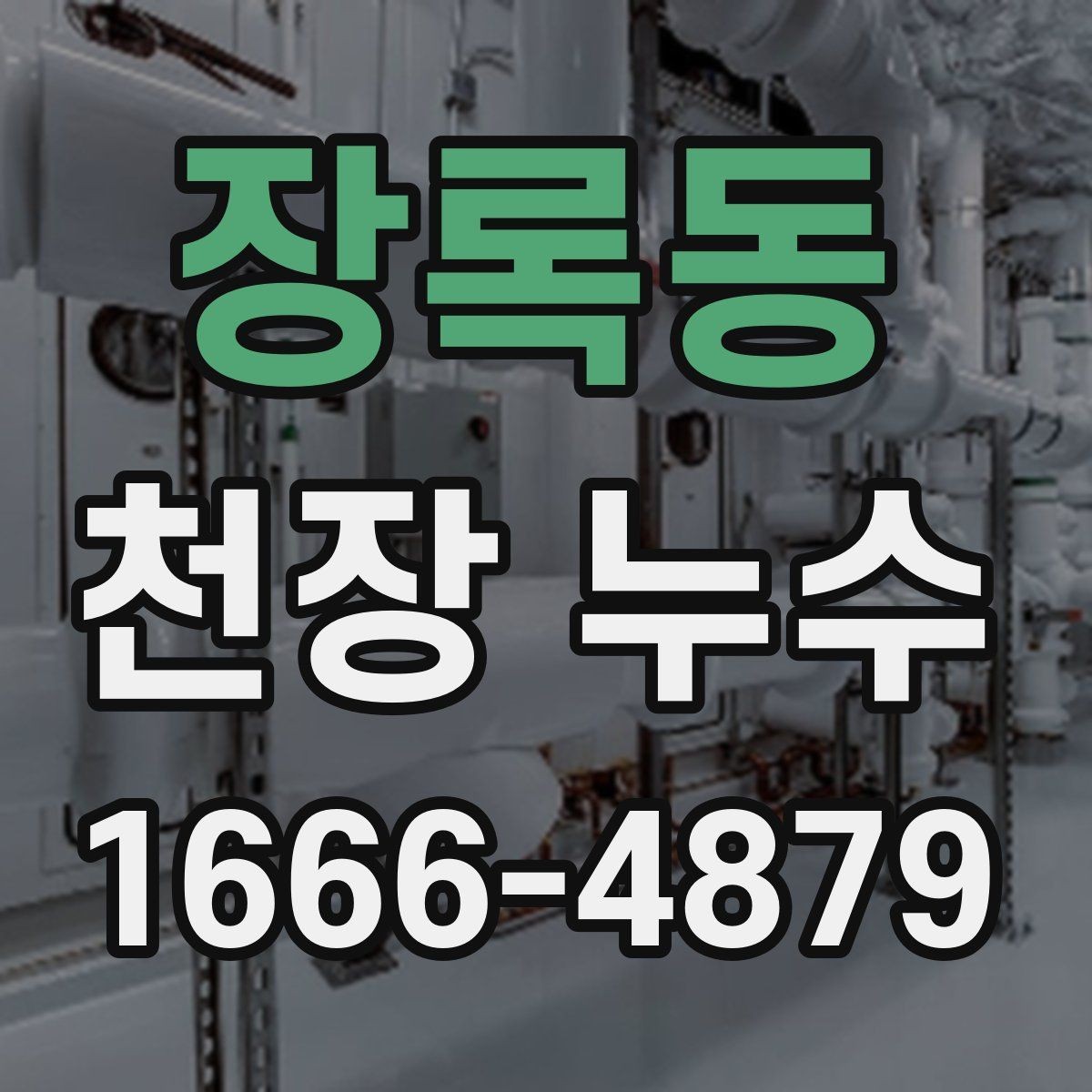 장록동 천장 누수 물이 흐르기 전 미리 잡기