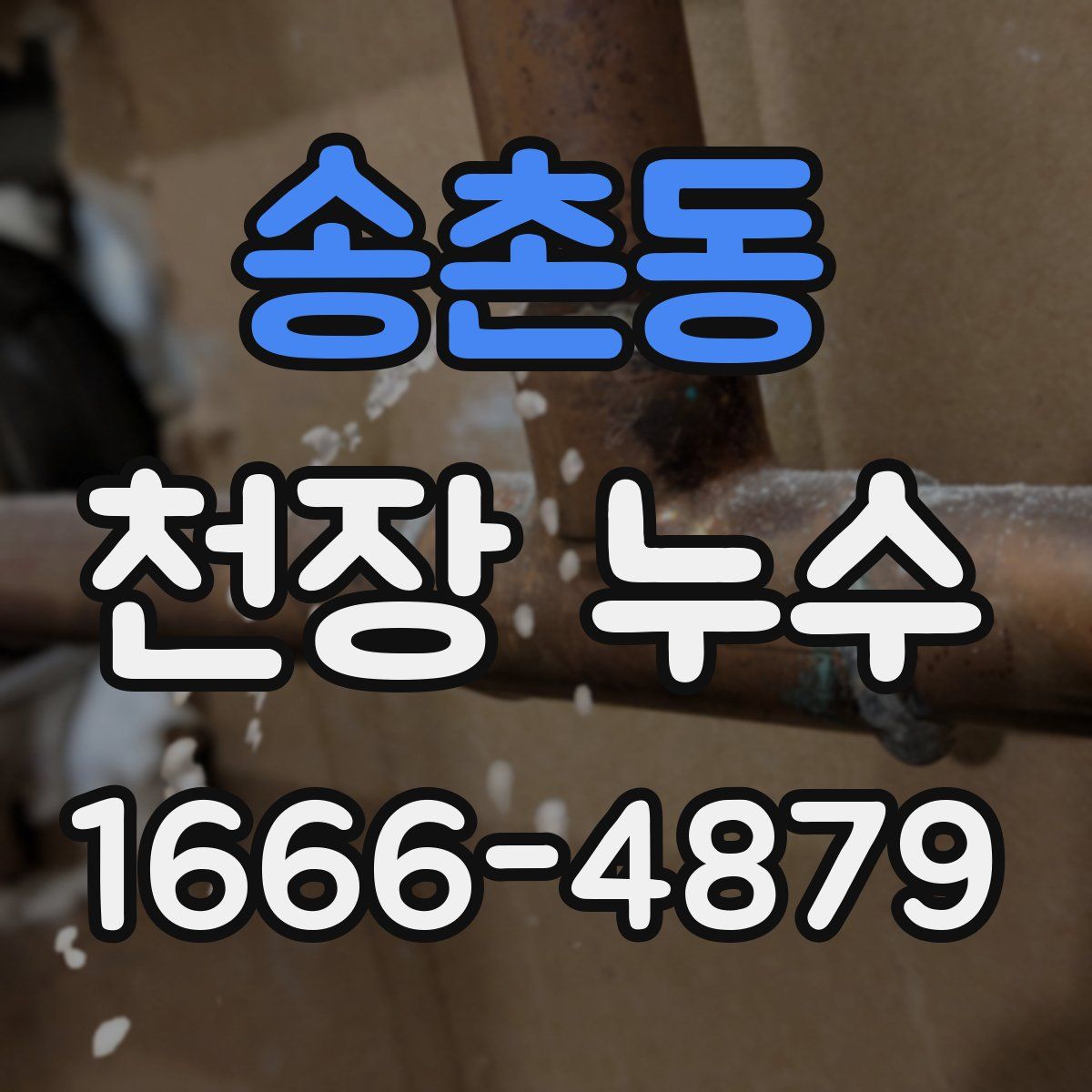 송촌동 천장 누수