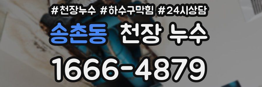 송촌동 천장 누수