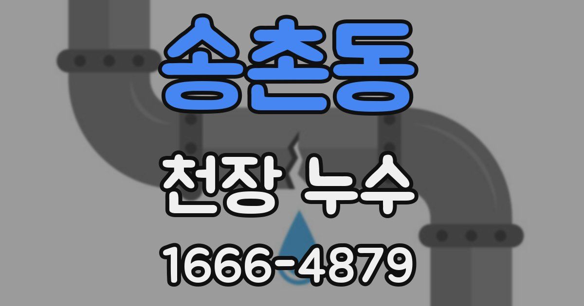 송촌동 천장 누수