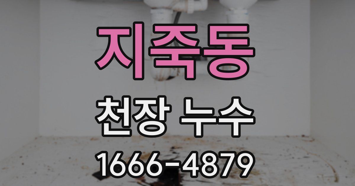 지죽동 천장 누수