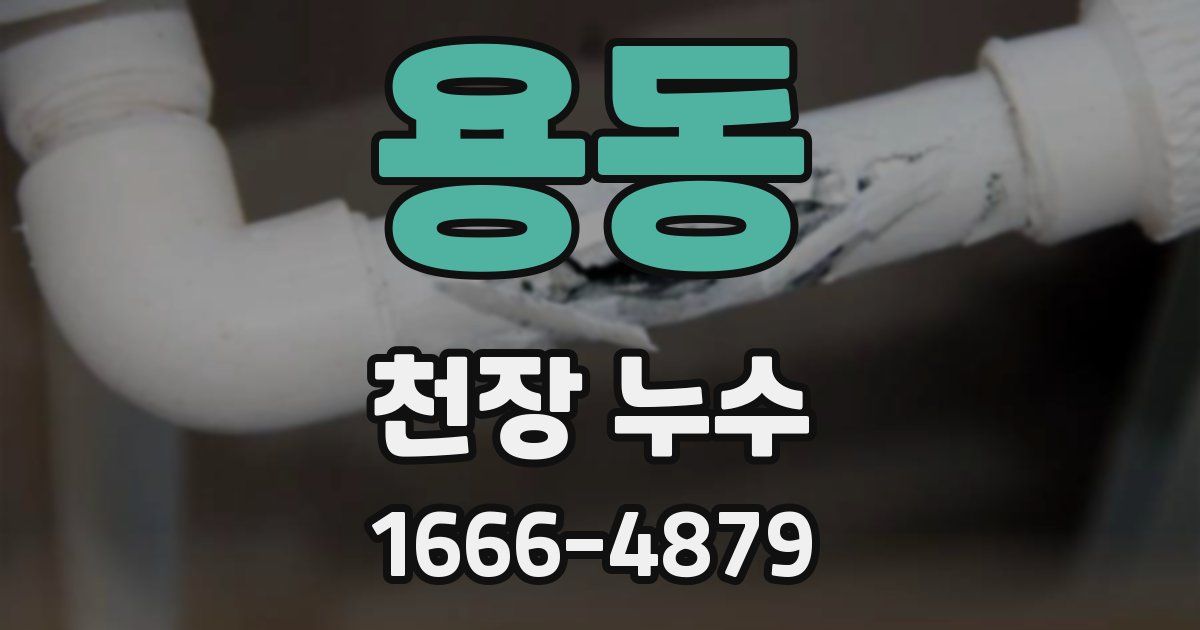 용동 천장 누수