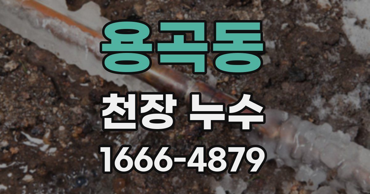 용곡동 천장 누수